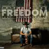 Freedom (feat. Gringo Bling) - Single album lyrics, reviews, download