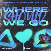 Where Should We Go (Alex Menco Remix) artwork
