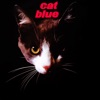 Cat Blue Ii