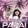 Stream & download Manda pro Papai - Single