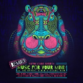 Music For Your Mind (feat. MC Spyda, K.O.G & Franz Von) [Jinx In Dub remix] artwork