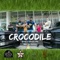 Crocodile (feat. Inthu) - FSPROD Vinu lyrics