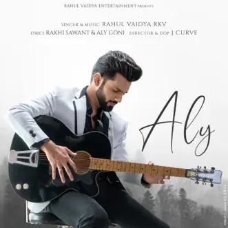 Aly by Rahul Vaidya song reviws