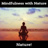 Mindfulness with Nature – Connect with the Roots of Earth, 2021