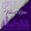 Velvet Rose - Single