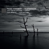 F. Schubert: Winterreise artwork