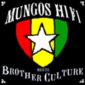Mungo's Hi Fi Meets Brother Culture artwork