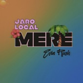 Mere (feat. Evin Rush) artwork