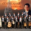 Mariachi Nuevo Tecalitlán - Aunque Critiquen