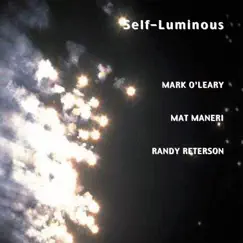 Self-Luminous by Mark O'Leary, Mat Maneri & Randy Peterson album reviews, ratings, credits