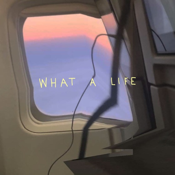 Cover artwork for What a Life