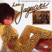 Les Jaguars - Guitare Jet