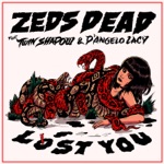 Zeds Dead - lost you