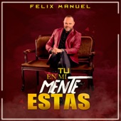 Tu En Mi Mente Estas (Salsa) artwork