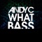 What Bass - Andy C lyrics