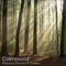 Ancient Woodland - Calmsound lyrics