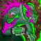 Comando io - Glasond lyrics