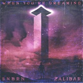 SNBRN - When You're Dreaming