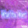 What You Want (feat. Base) - Single album lyrics, reviews, download