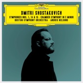 Symphony No. 1 in F Minor, Op. 10: I. Allegretto - Allegro non troppo artwork