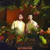 Butterflies (Jean Tonique Remix) - Single album lyrics, reviews, download