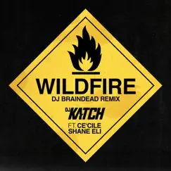 Wildfire (Dj Braindead Remix) [feat. Ce'Cile & Shane Eli] - Single by DJ Katch album reviews, ratings, credits