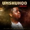 Owamabomu (feat. DJ Lag) - Dladla Mshunqisi lyrics