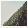 Near - Far - Single