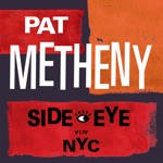 Pat Metheny - It Starts When We Disappear