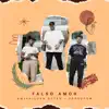 Falso Amor - Single album lyrics, reviews, download