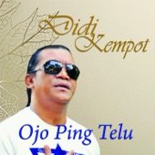 Ojo Ping Telu artwork