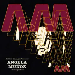 Introspection by Ángela Muñoz & Adrian Younge album reviews, ratings, credits