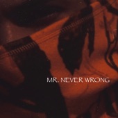 Mr. Never Wrong artwork