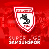 Samsunspor artwork