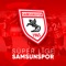 Samsunspor artwork