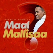 Maal Mallisaa? artwork