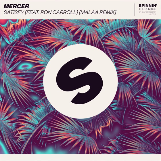 Cover artwork for Satisfy (feat. Ron Carroll) [Malaa Remix]