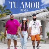 Tu Amor (Remix) artwork