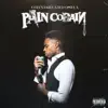 Pain Cobain album lyrics, reviews, download