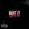 Bust It Open - Single