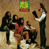 Steel Pulse (鐵石脈博) - Your House