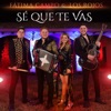 Sé Que Te Vas - Single