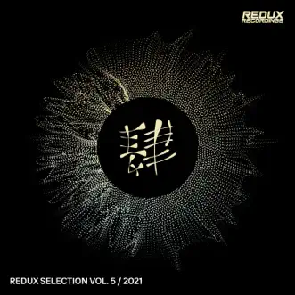 Redux Selection Vol. 5 / 2021 by Various Artists album reviews, ratings, credits