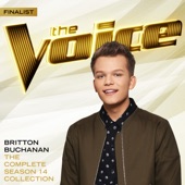 The Complete Season 14 Collection (The Voice Performance) artwork
