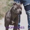 Pitbull - Single
