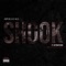 Shook (feat. GetRightSour) - Apollo Ali lyrics