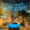 Sheesh! - Single album lyrics, reviews, download