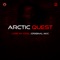 Lose My Cool - Arctic Quest lyrics