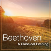 Beethoven: A Classical Evening artwork