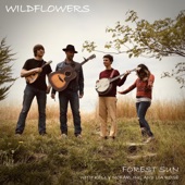 Forest Sun - Wildflowers (feat. Kelly McFarling & Lia Rose) feat. Kelly McFarling,Lia Rose